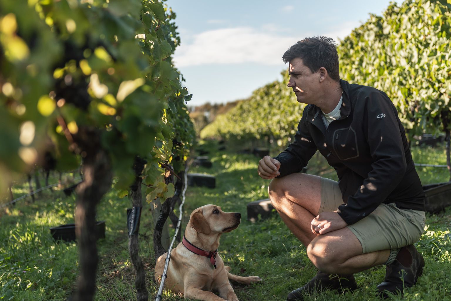 Meet Stu Marfell – Chief Winemaker at Vavasour and Marlborough