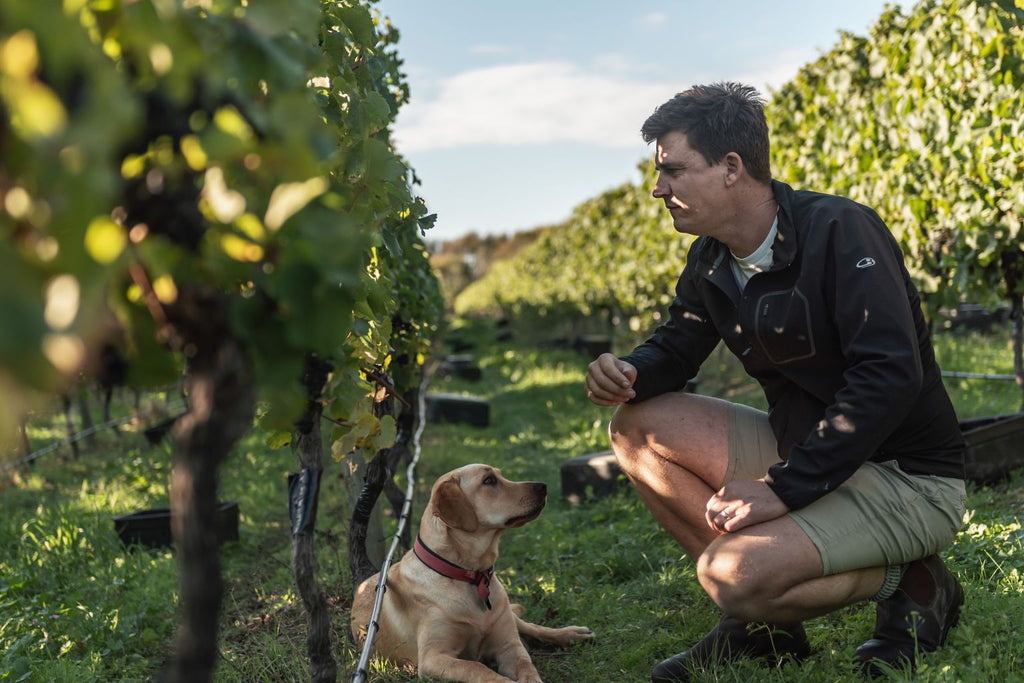 Meet Stu Marfell – Chief Winemaker in Marlborough