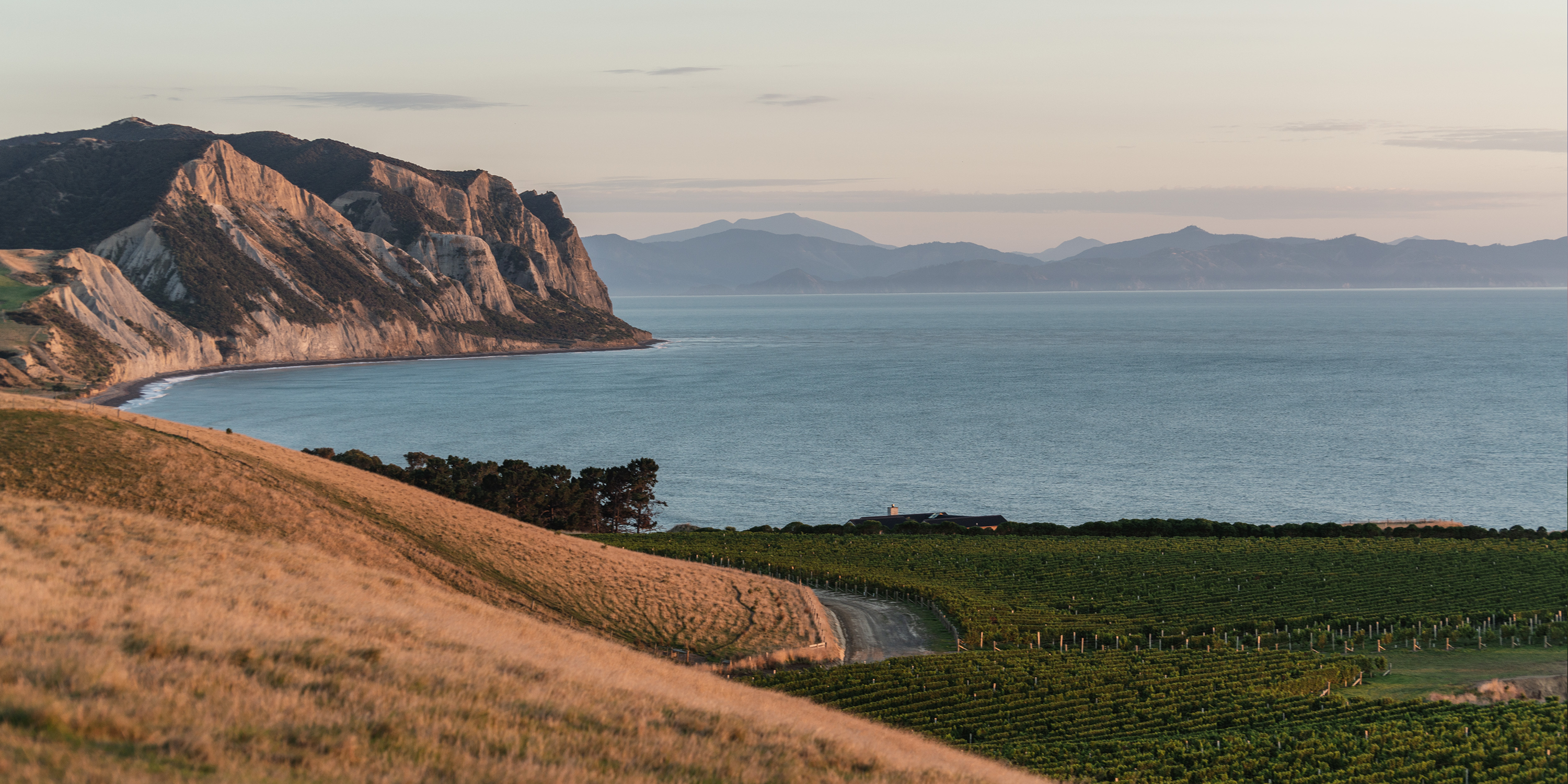 Boatshed Bay