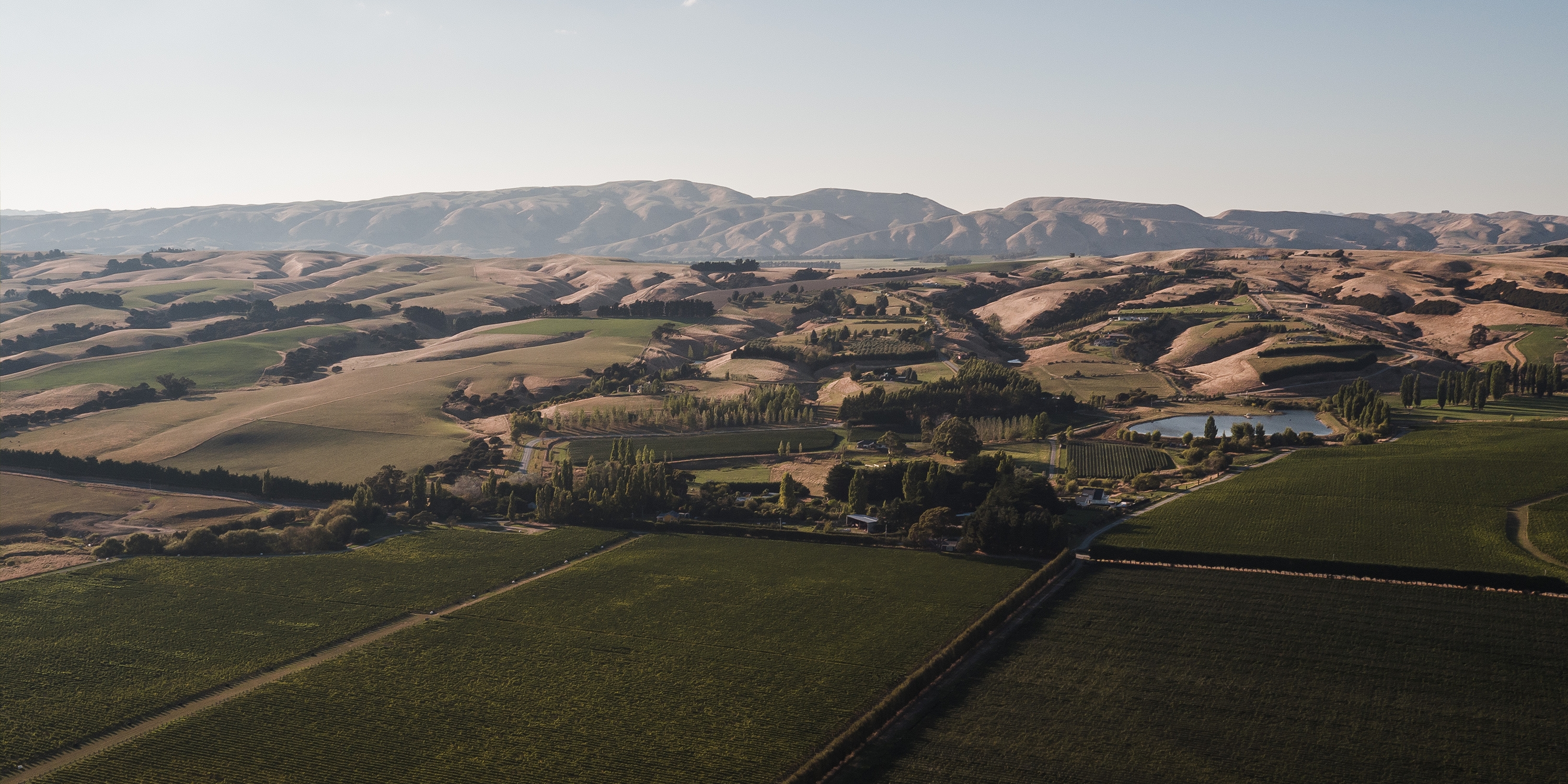 Te Kairanga Landscape